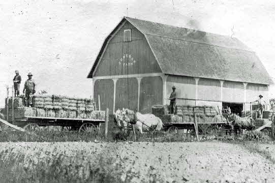 Fred Norris Hay Wagons Cropped_edited